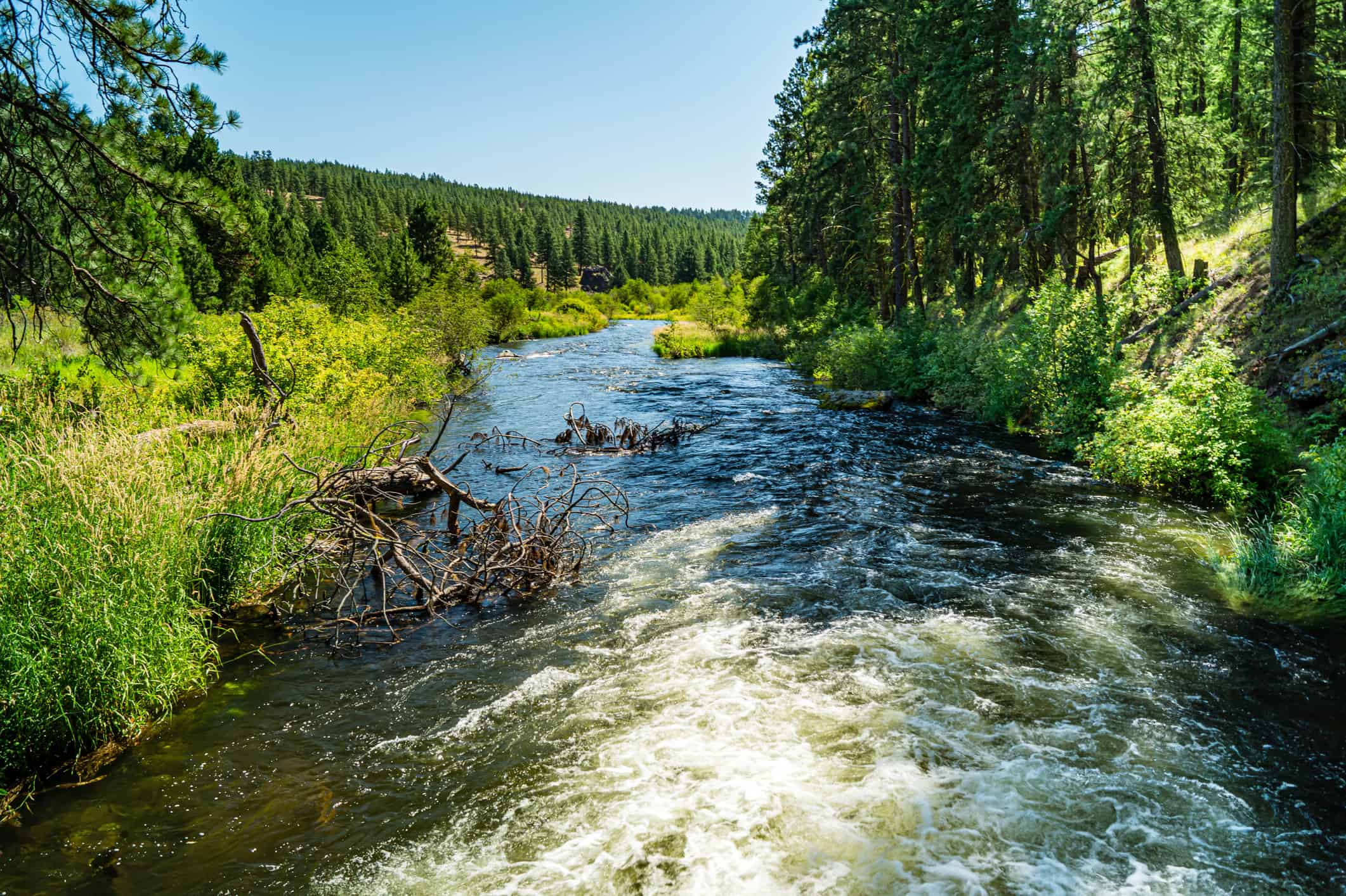 Powder River che scorre attraverso l'Oregon orientale