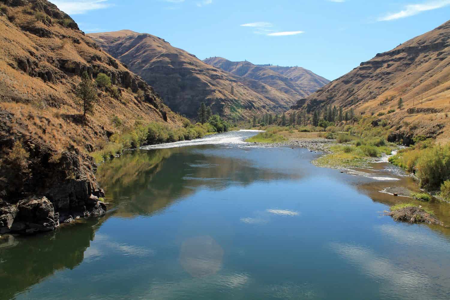 Fiume Grande Ronde che serpeggia attraverso colline rocciose e alberi di pioppi neri americani, Oregon orientale, Stati Uniti