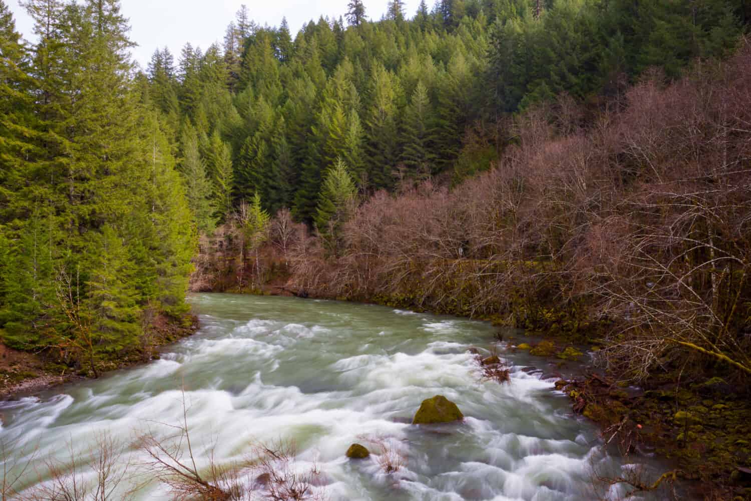 Foto aerea o panoramica del punto di vista ad alto angolo del fiume Willamette nell'Oregon.