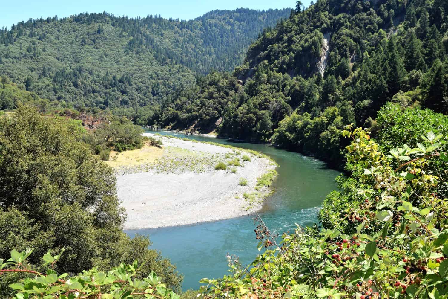 Klamath River, Oregon, curve nel mezzo di una foresta profonda con cespugli di bacche in primo piano