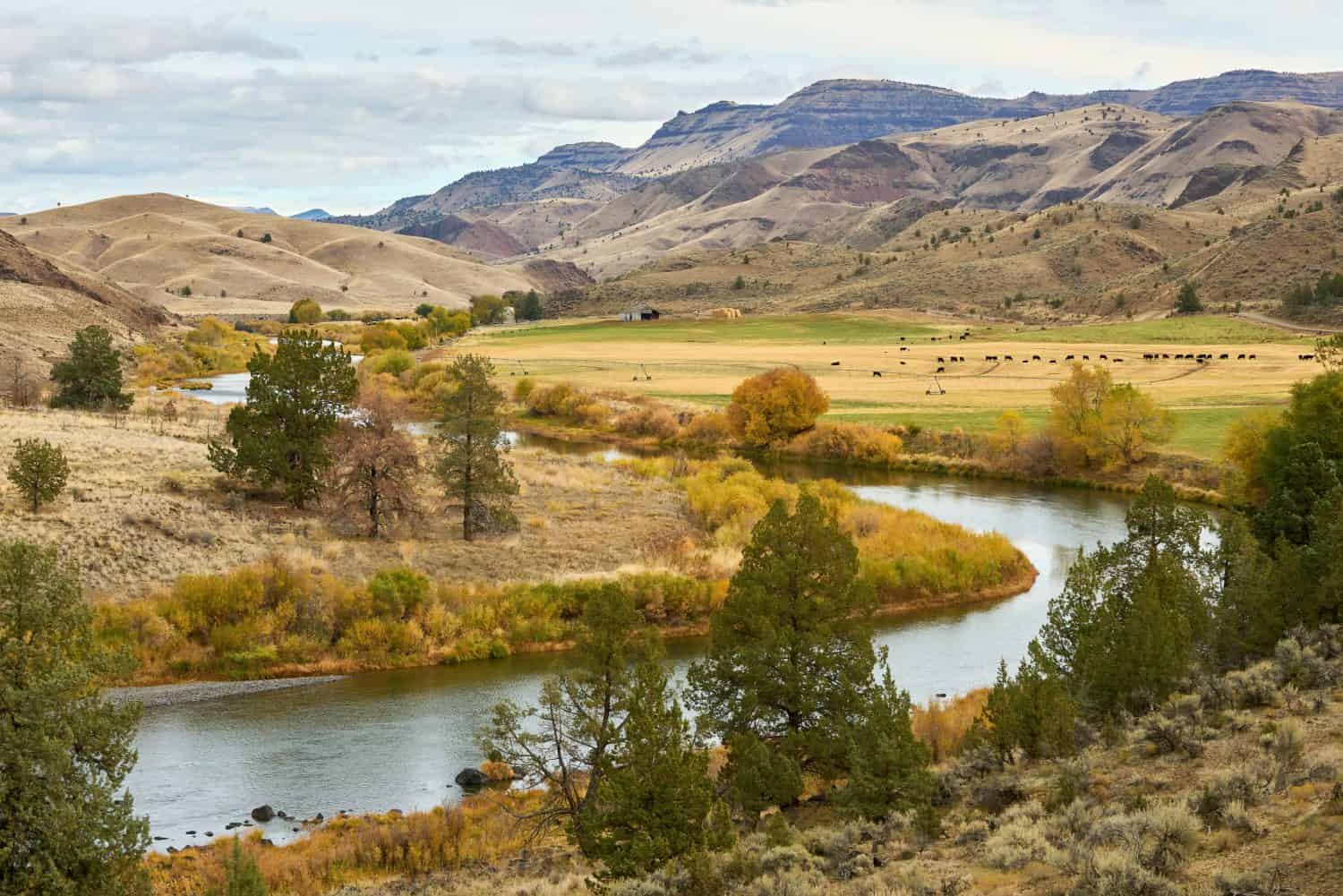 John Day River tra il paesaggio montano dell'Oregon orientale.