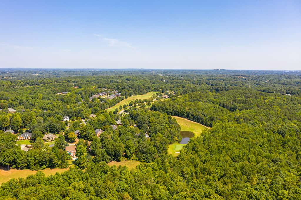 I viaggiatori riposano la piccola città e la pista ciclabile del coniglio della palude Greenville, Carolina del Sud