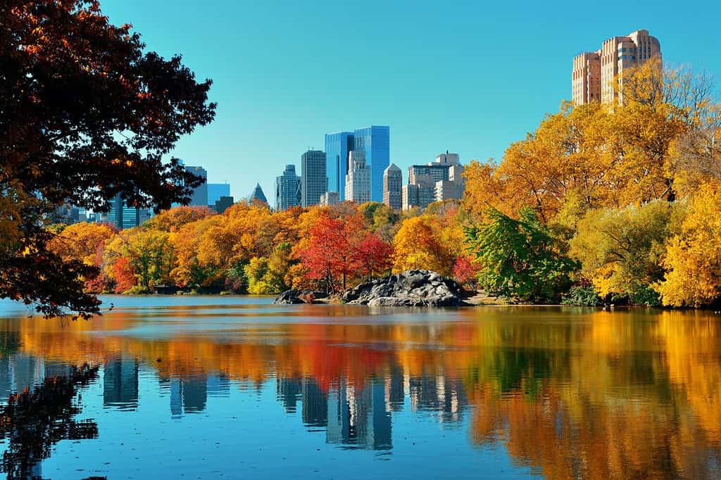 Central Park Autunno e riflessione degli edifici nel centro di Manhattan a New York City