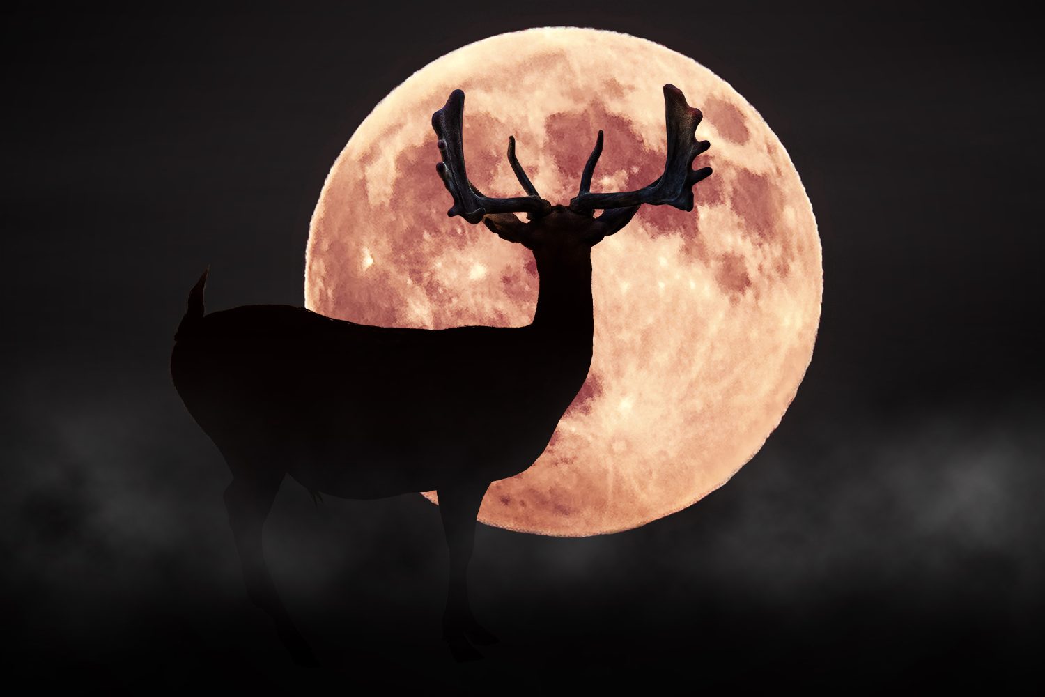 Cervo sagoma sullo sfondo della luna rossa