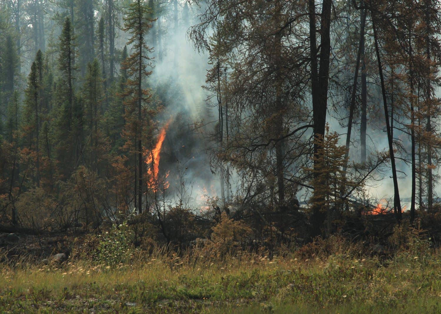 Incendio vicino a Yellowknife, NWT, Canada