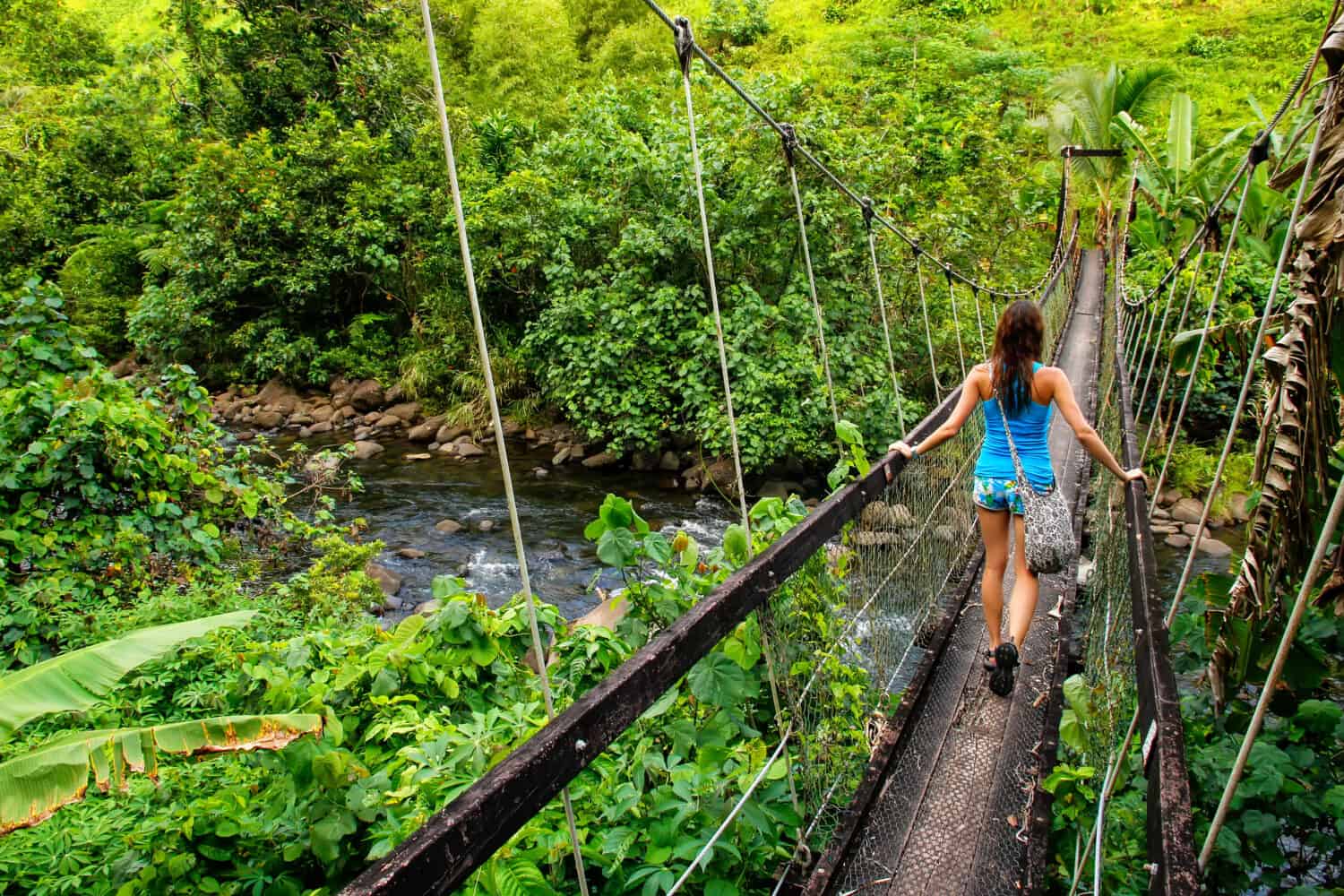 Giovane donna che cammina sul ponte sospeso sul torrente Wainibau, Lavena Coastal Walk, Isola di Taveuni, Fiji.  Taveuni è la terza isola più grande delle Fiji.