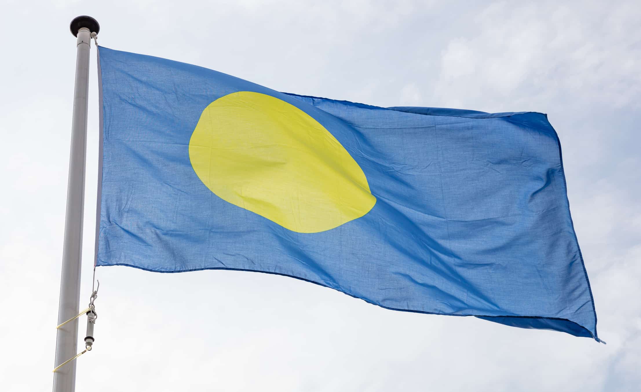 La bandiera del Palau