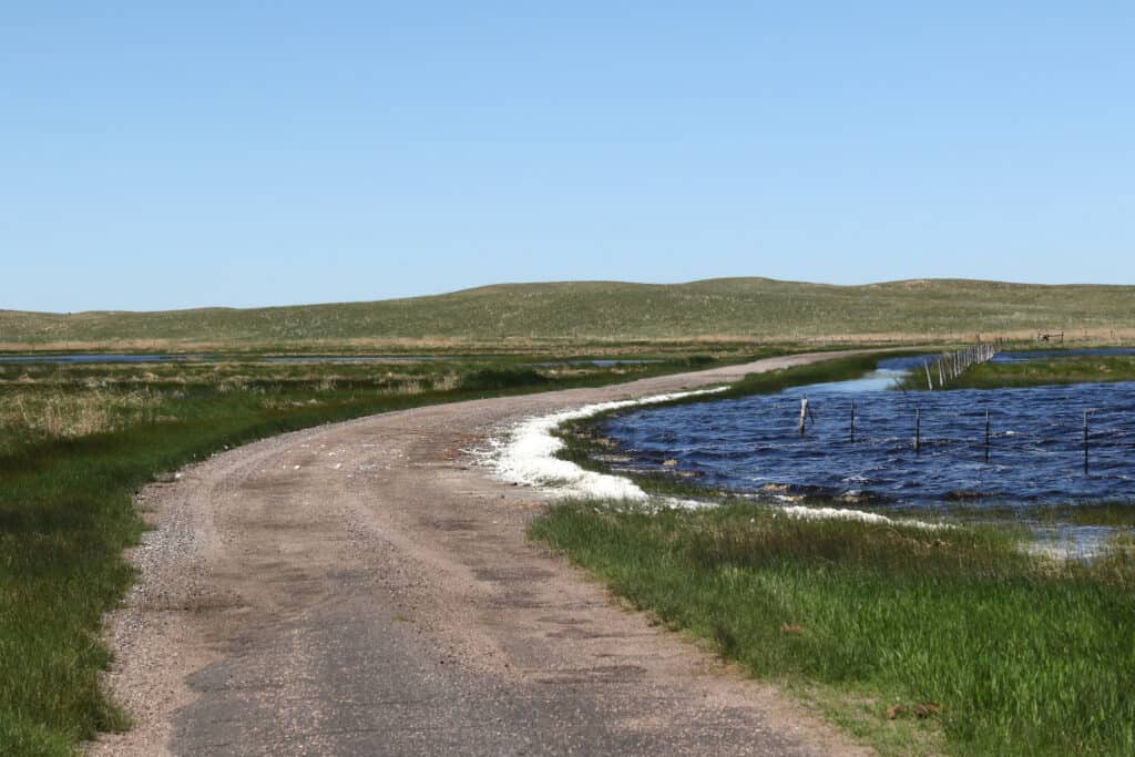 I 6 migliori posti per il birdwatching del Nebraska quest'estate