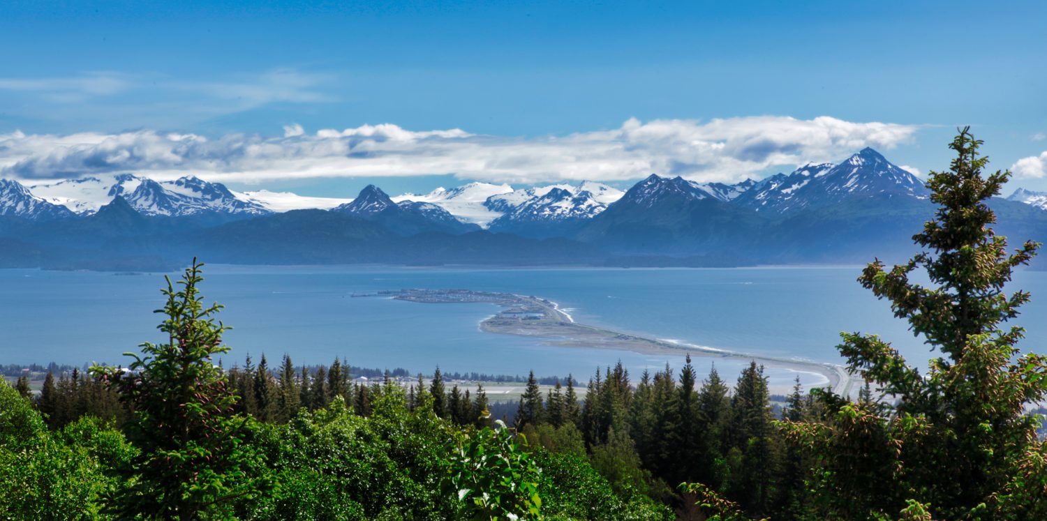 Montagne dell'Alaska, ghiacciaio, foresta, vista di Homer Spit