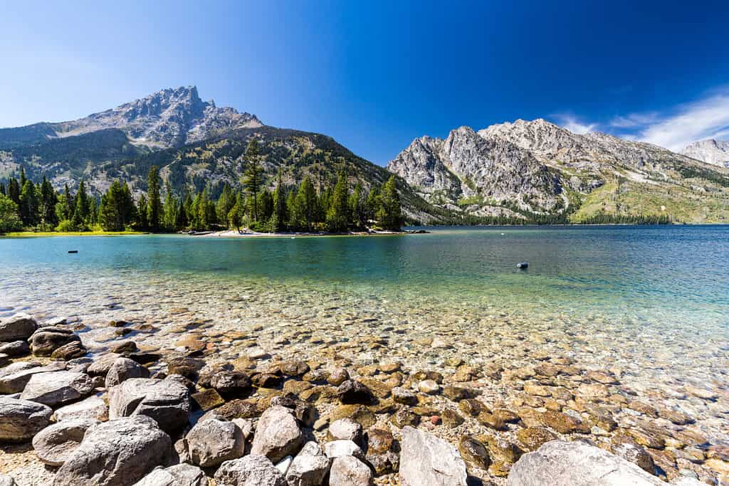 Viste dei laghi Jenny e Jackson nel Parco Nazionale del Grand Teton, Wyoming