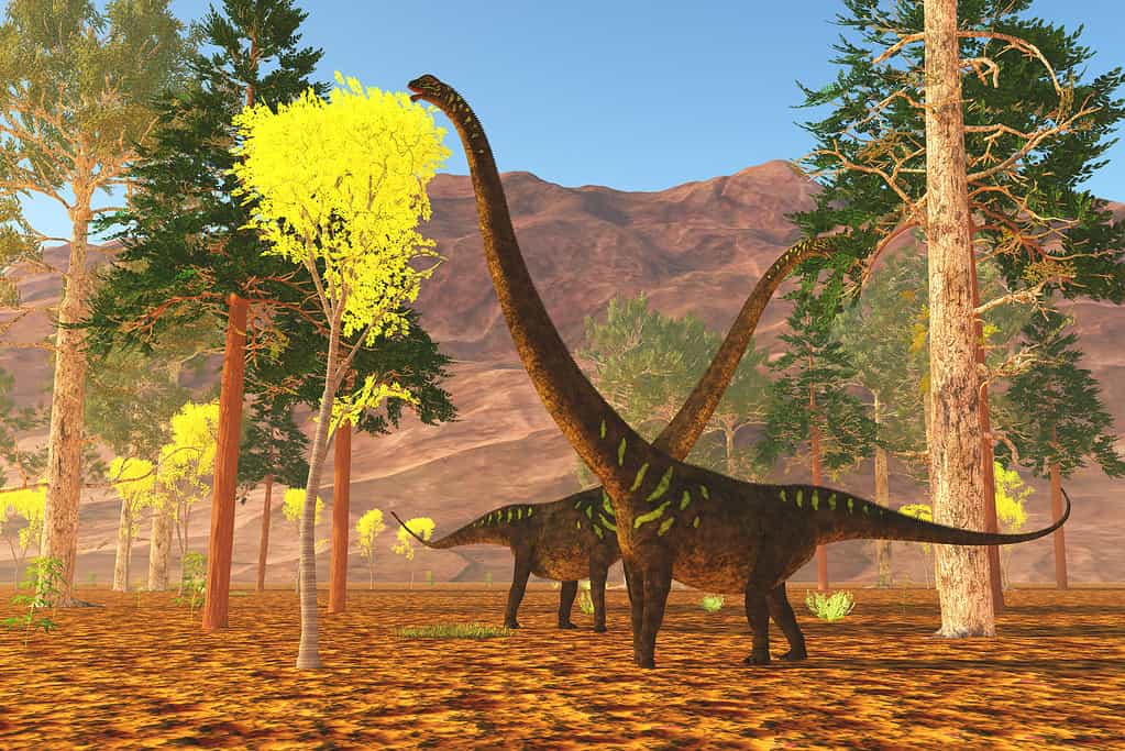 Mangiare il dinosauro Mamenchisaurus
