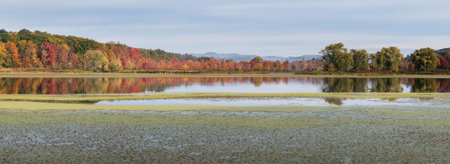 Vista su Woods Pond da Valley Street con il fogliame della Mountain State Forest come sfondo - Lenox, MA, USA