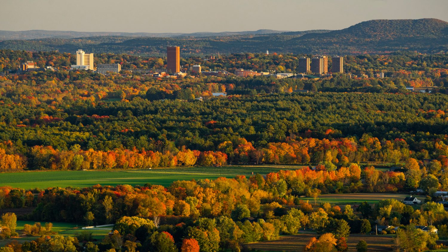 Fogliame autunnale con il paesaggio urbano di Greater Amherst, Massachusetts in lontananza