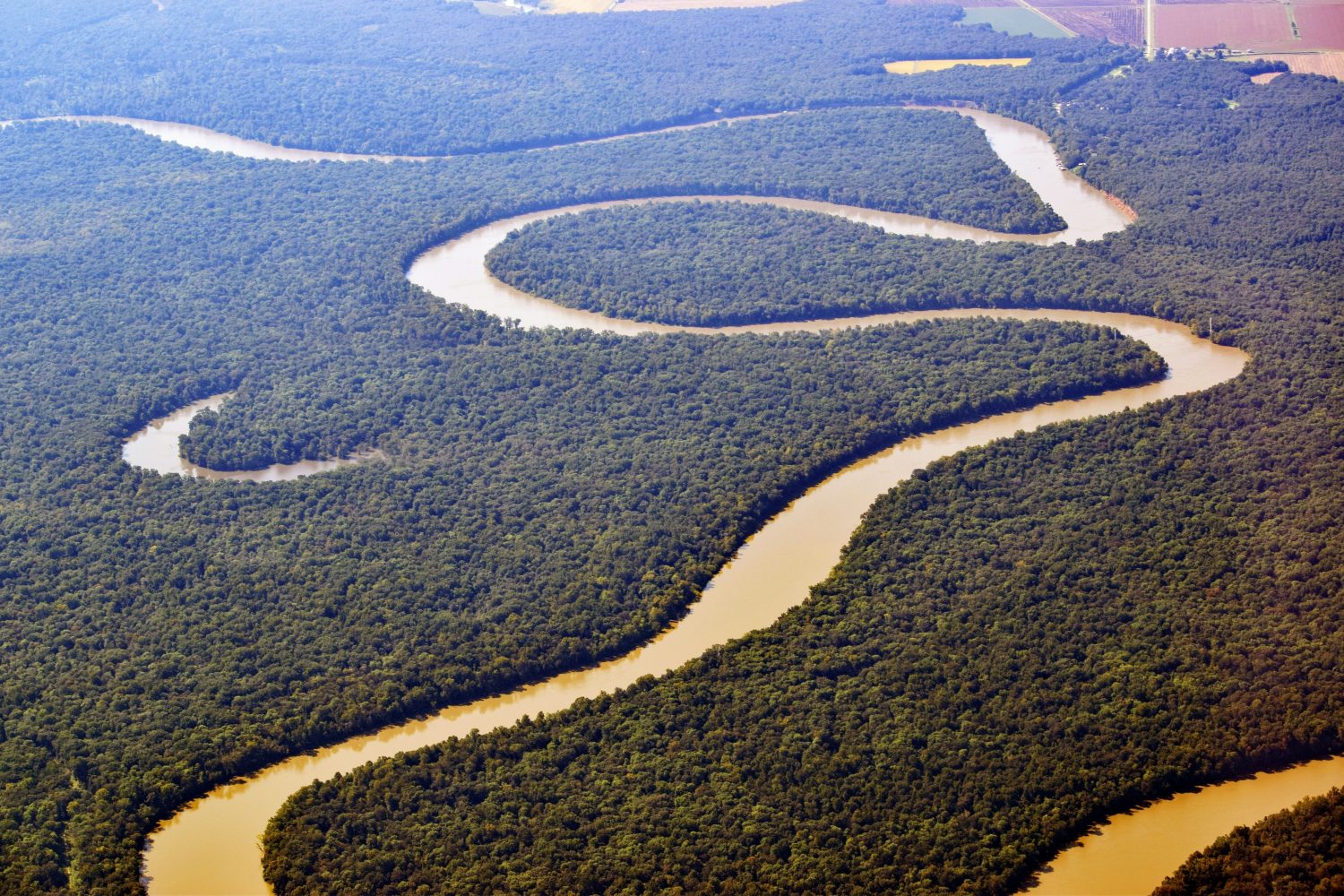 Vista aerea del fiume Mississippi tortuoso 