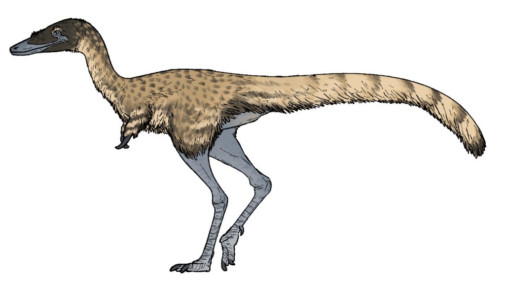 Jaculinykus yaruui - dinosauri che iniziano con J