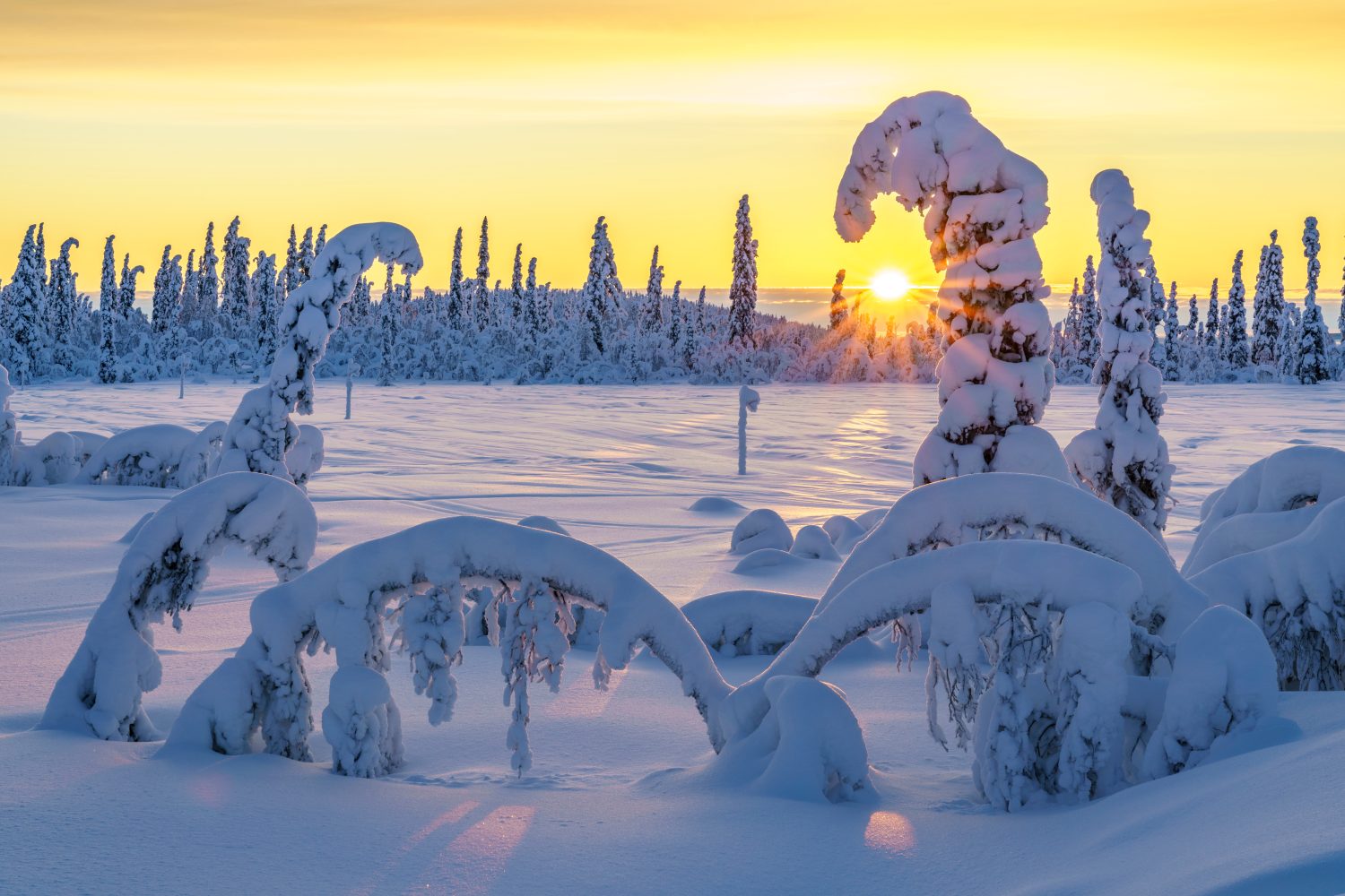 Paesaggio invernale al tramonto in luce diretta con cielo colorato e nuvole, molta neve sugli alberi, Lapponia svedese, Svezia