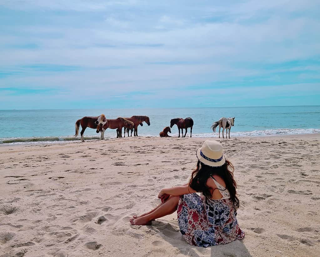 Spiaggia nazionale dell'isola di Assateague