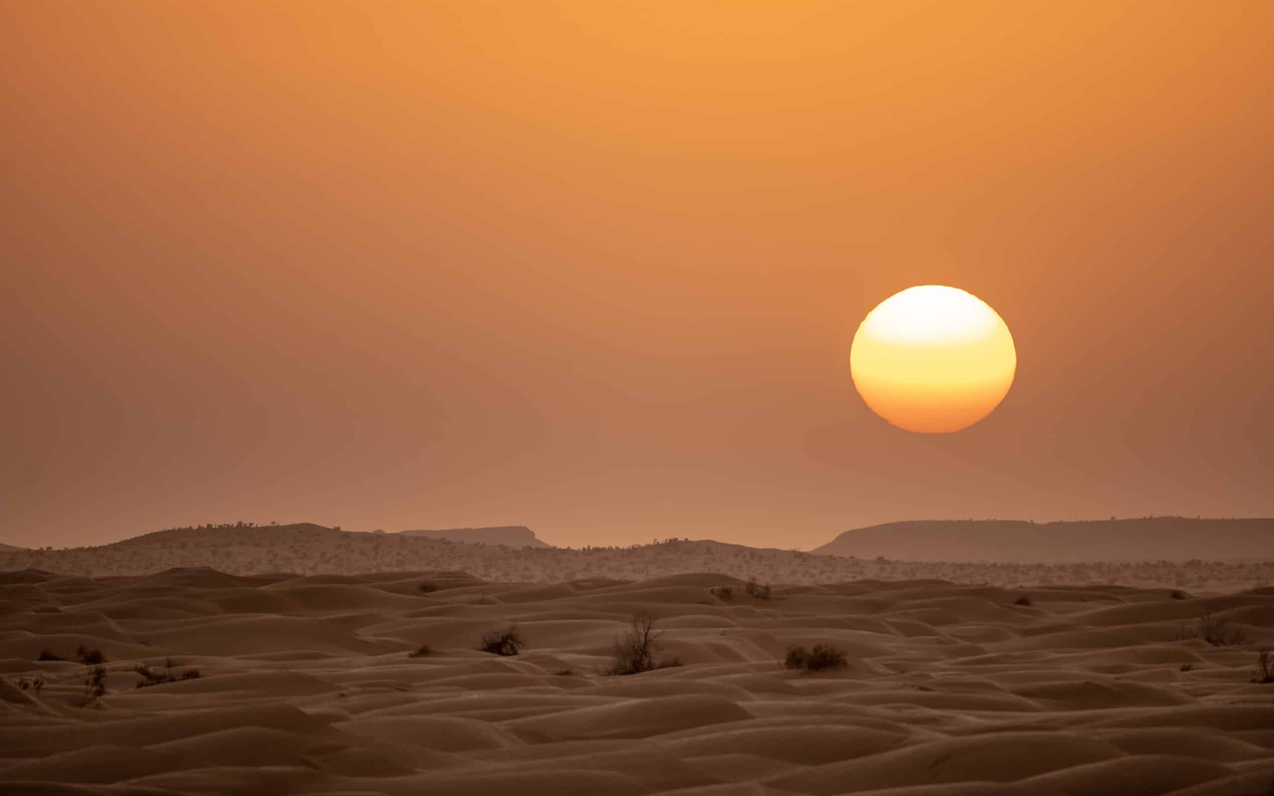 Veduta del deserto della Tunisia, l'inizio del Sahara