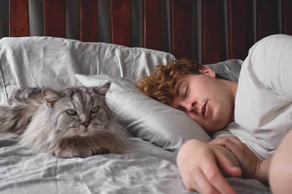 Giovane che dorme con il gatto al suo fianco