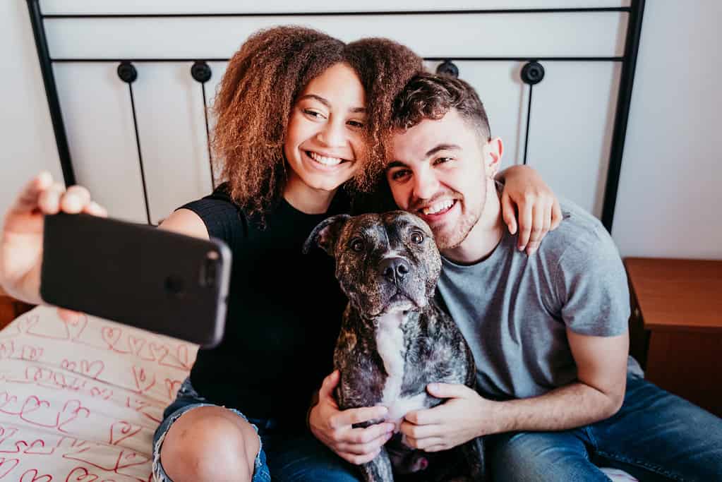 coppia felice innamorata a casa.  Donna afroamericana, uomo caucasico e il loro cane pitbull insieme.  Concetto di famiglia