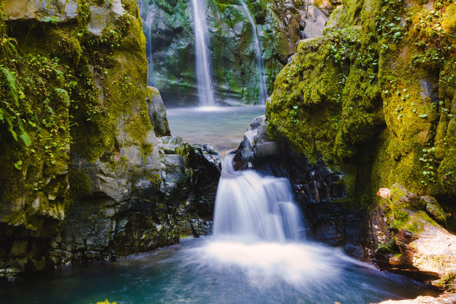 Susan Creek cade nella foresta nazionale di Umpqua.  Questa cascata è abbastanza grande e facilmente accessibile.