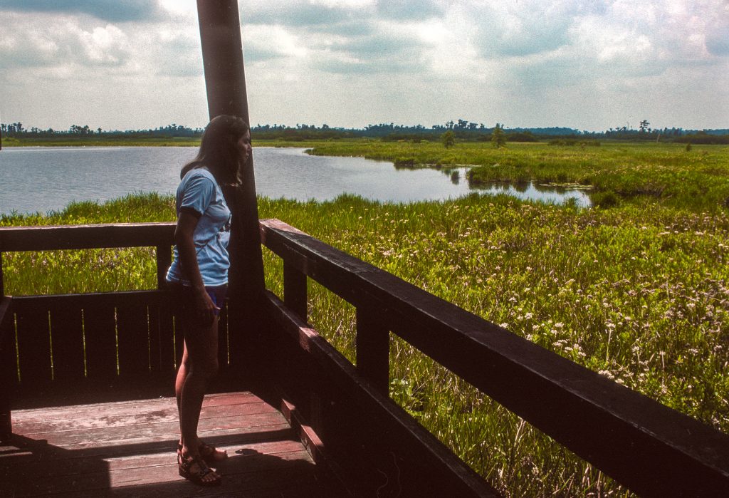 Okefenokee NWR - Veduta dalla Torre - 1976