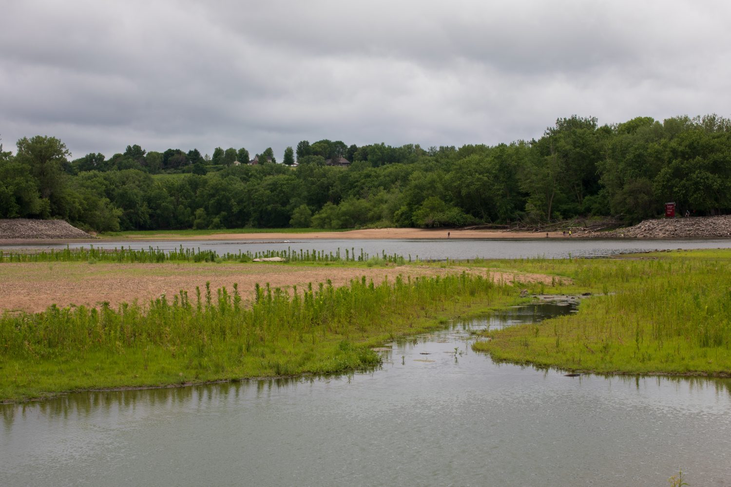 Litorale erboso lungo il lago Red Rock sul fiume Des Moines in Iowa.  Erba verde e acqua.  