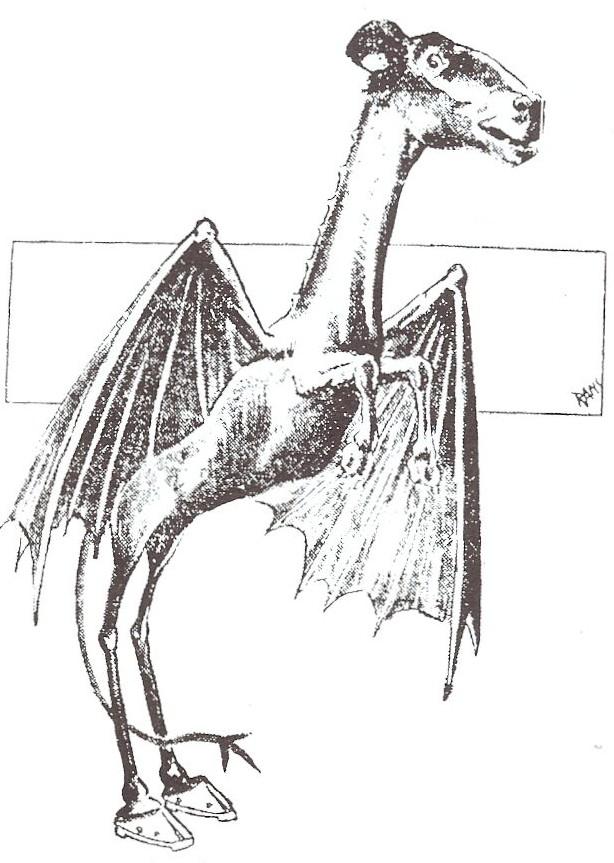 Il Jersey Devil è un criptide che vaga da secoli per le Pine Barrens del New Jersey.  - Disegno da giornali del 1909.