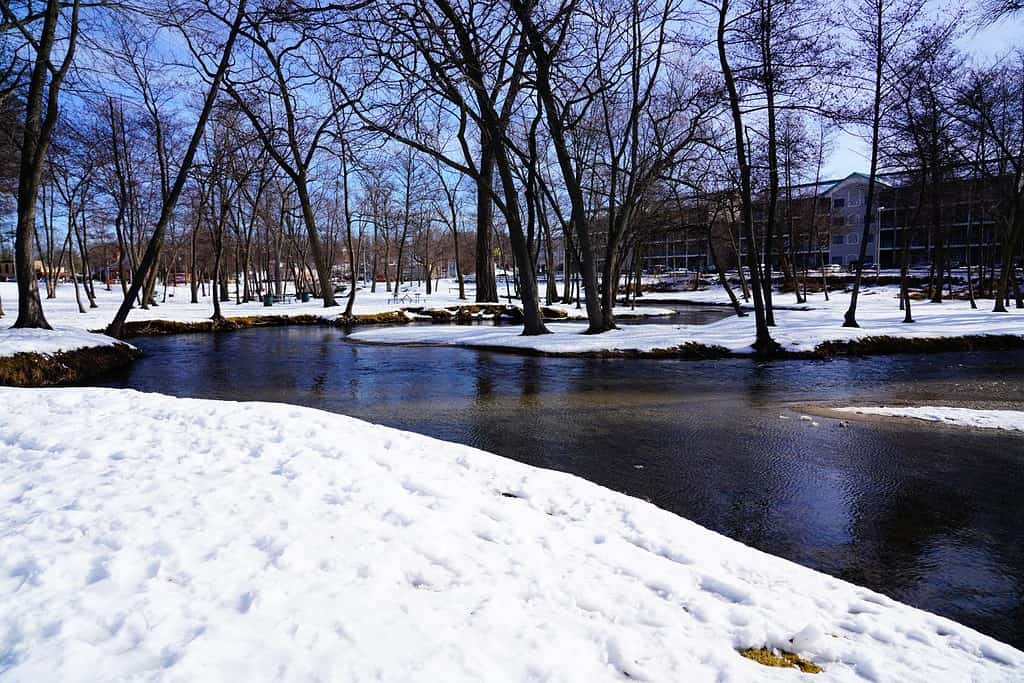 Vista panoramica della stagione invernale di un parco nel Lago di Ginevra, Wisconsin