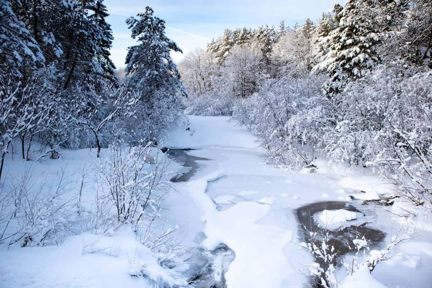 Fiume innevato in una foresta del Wisconsin a gennaio con cieli azzurri, orizzontali