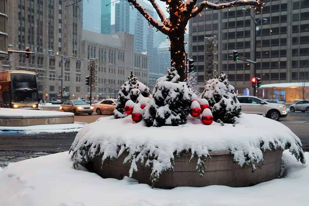 Bellissima vigilia di Natale nel centro di Chicago.  Giornata invernale innevata nel centro di Chicago.  Vista panoramica in un centro cittadino con decorazioni stradali coperte di neve fresca su uno sfondo stradale fuori fuoco.