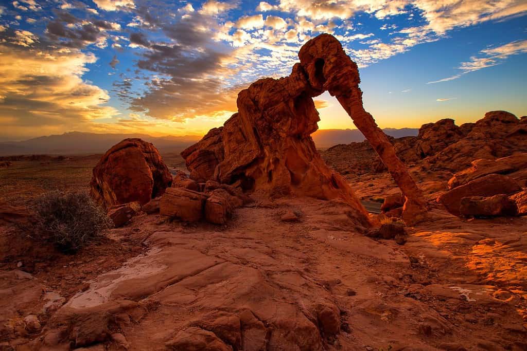 Roccia dell'Elefante nella Valle del Fuoco State Park, Stati Uniti.  Il Valley of Fire State Park è il parco statale più antico del Nevada, negli Stati Uniti, ed è stato designato monumento naturale nazionale nel 1968.