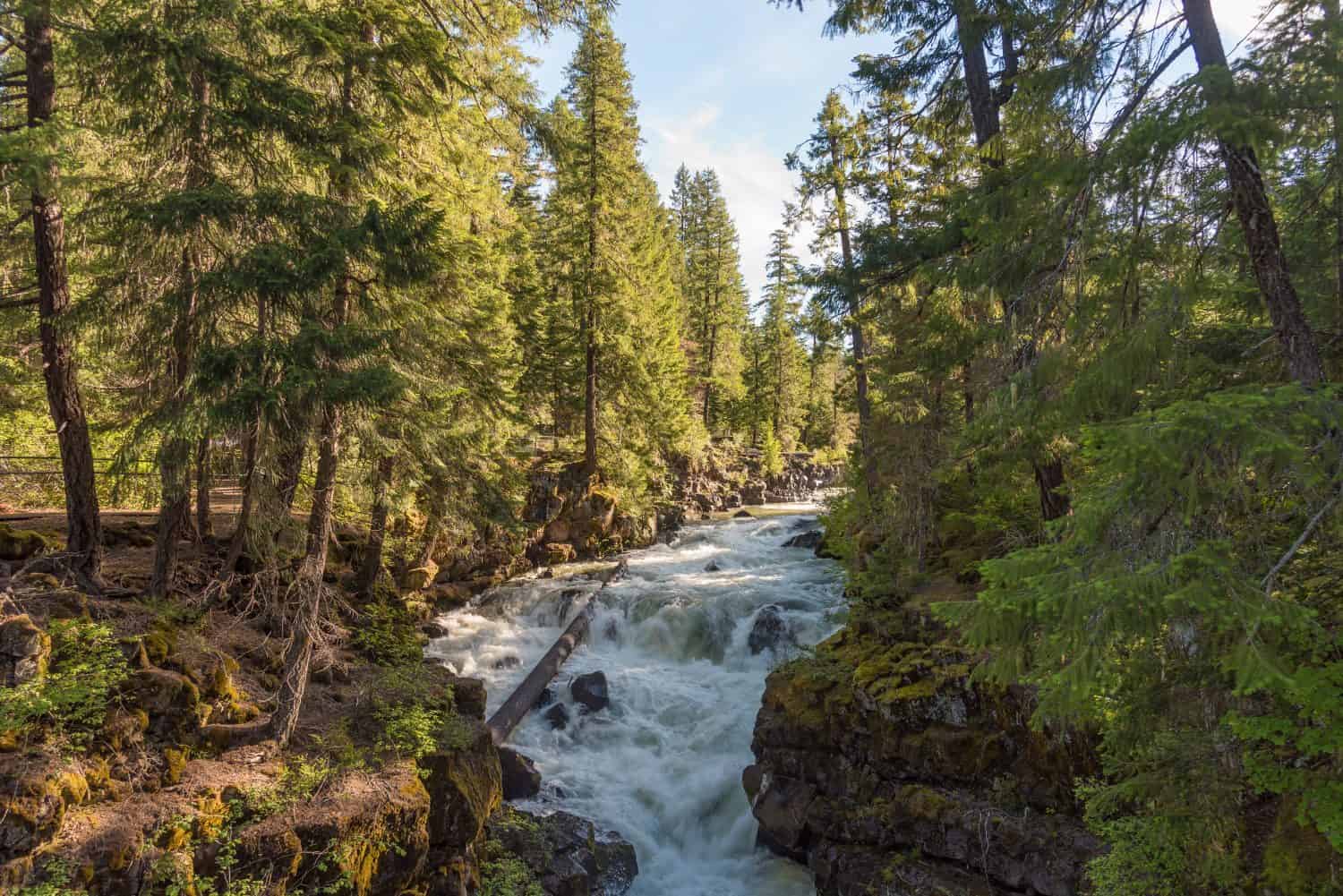 Foresta nazionale Rogue River-Siskiyou vicino all'area ricreativa del Natural Bridge