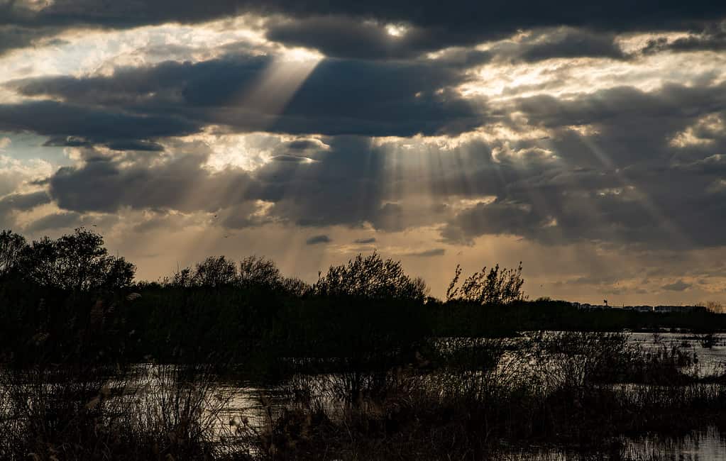 tramonto sul fiume tigri