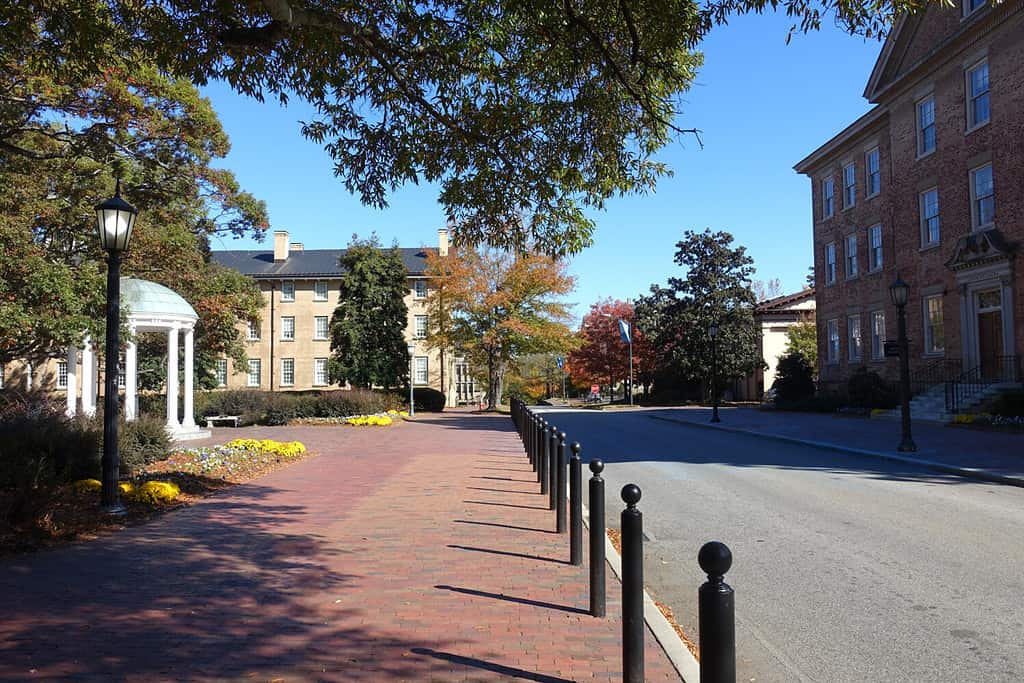 Strada che attraversa il campus principale dell'Università della Carolina del Nord a Chapel Hill