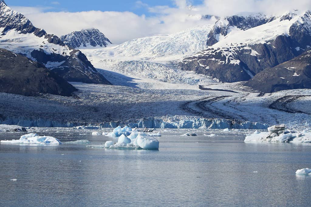 Ghiacciaio Columbia, Baia Columbia, Valdez, Alaska