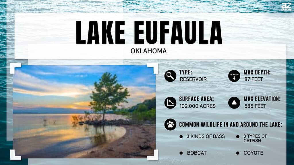 Infografica sul Lago Eufaula