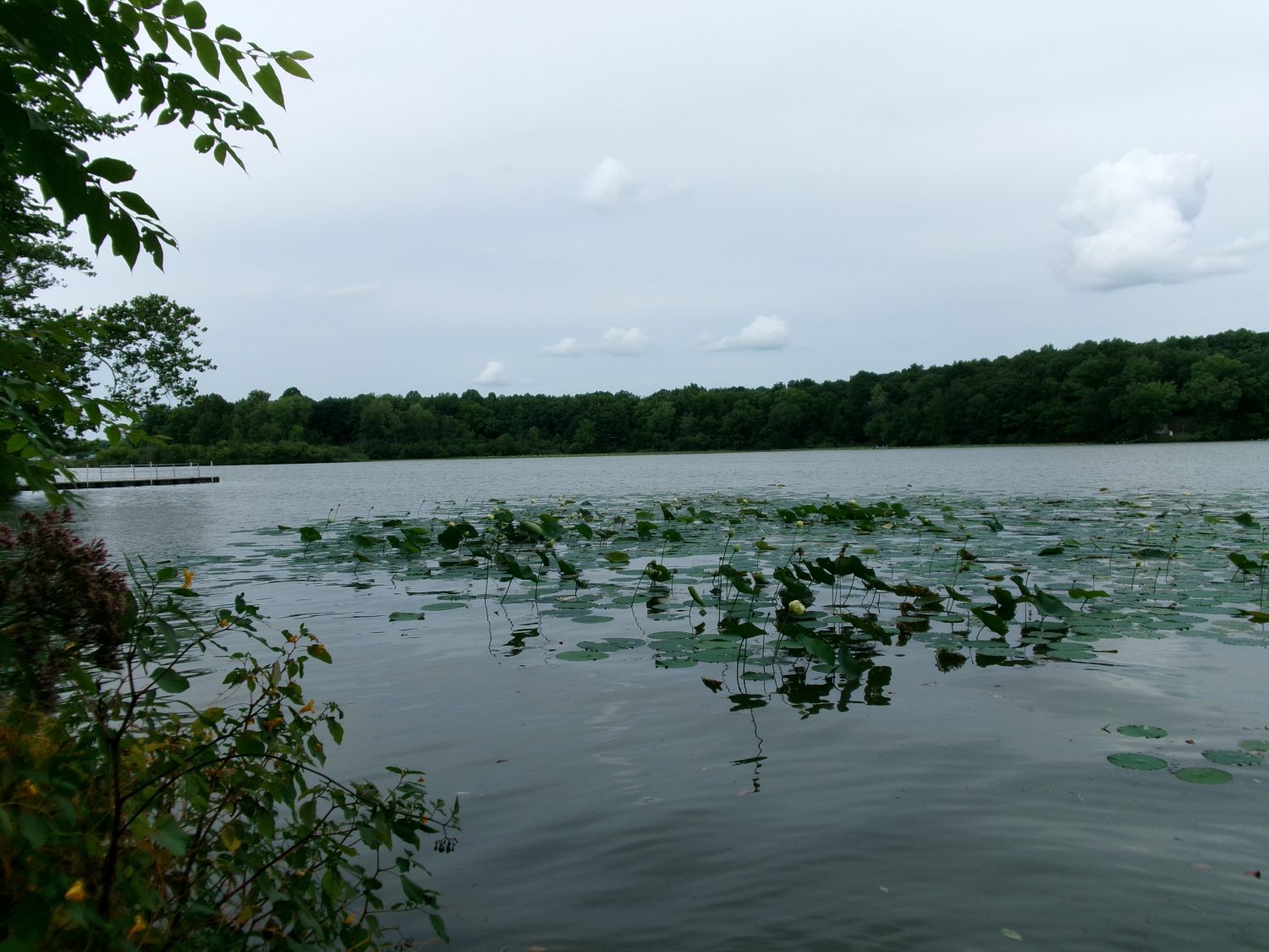 Fotografia scattata a Sylvan Lake, agosto 2023