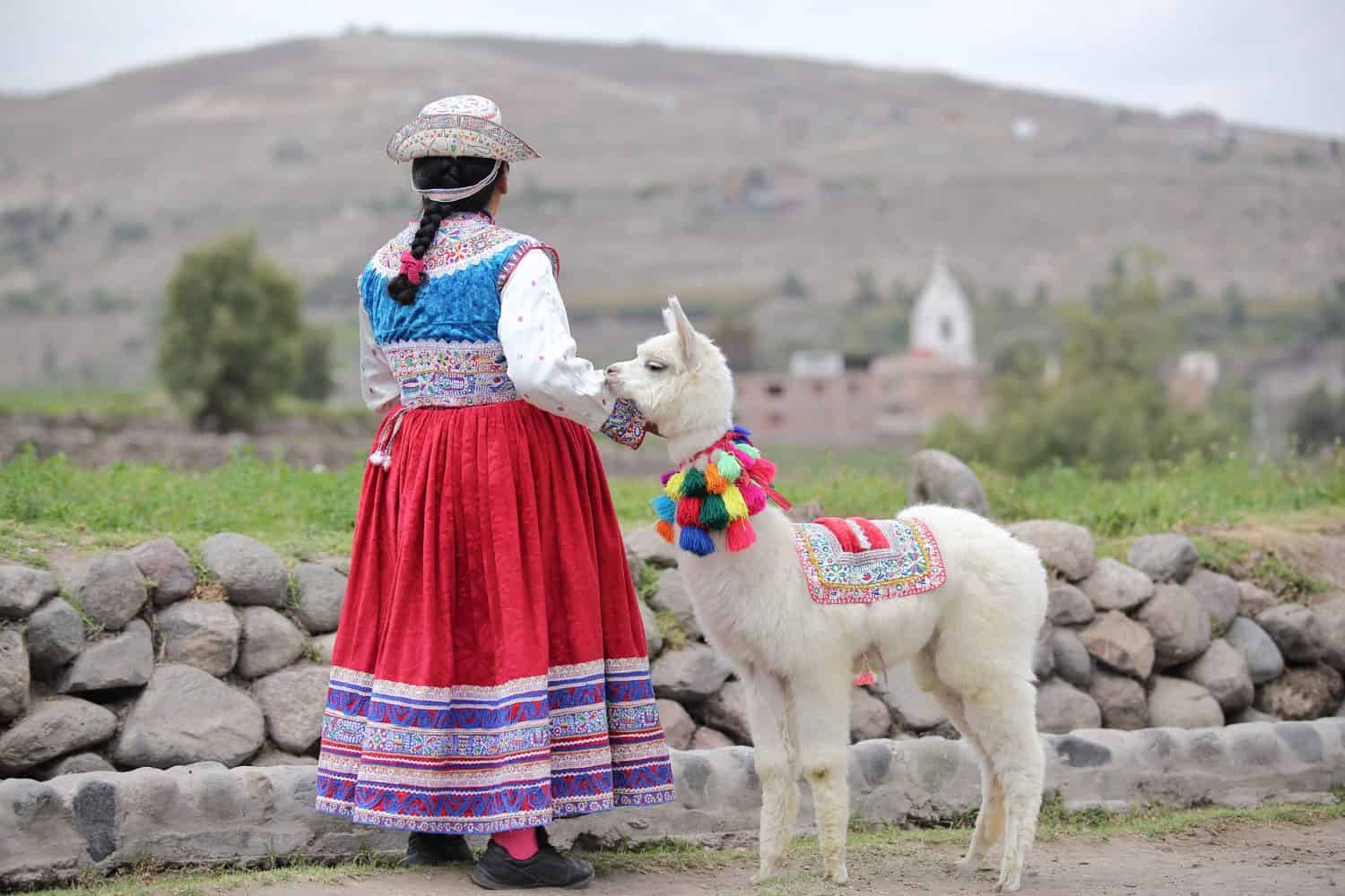 Donne peruviane tradizionali con lama di Arequipa