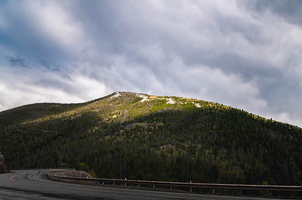 Passo Rogers, Montana