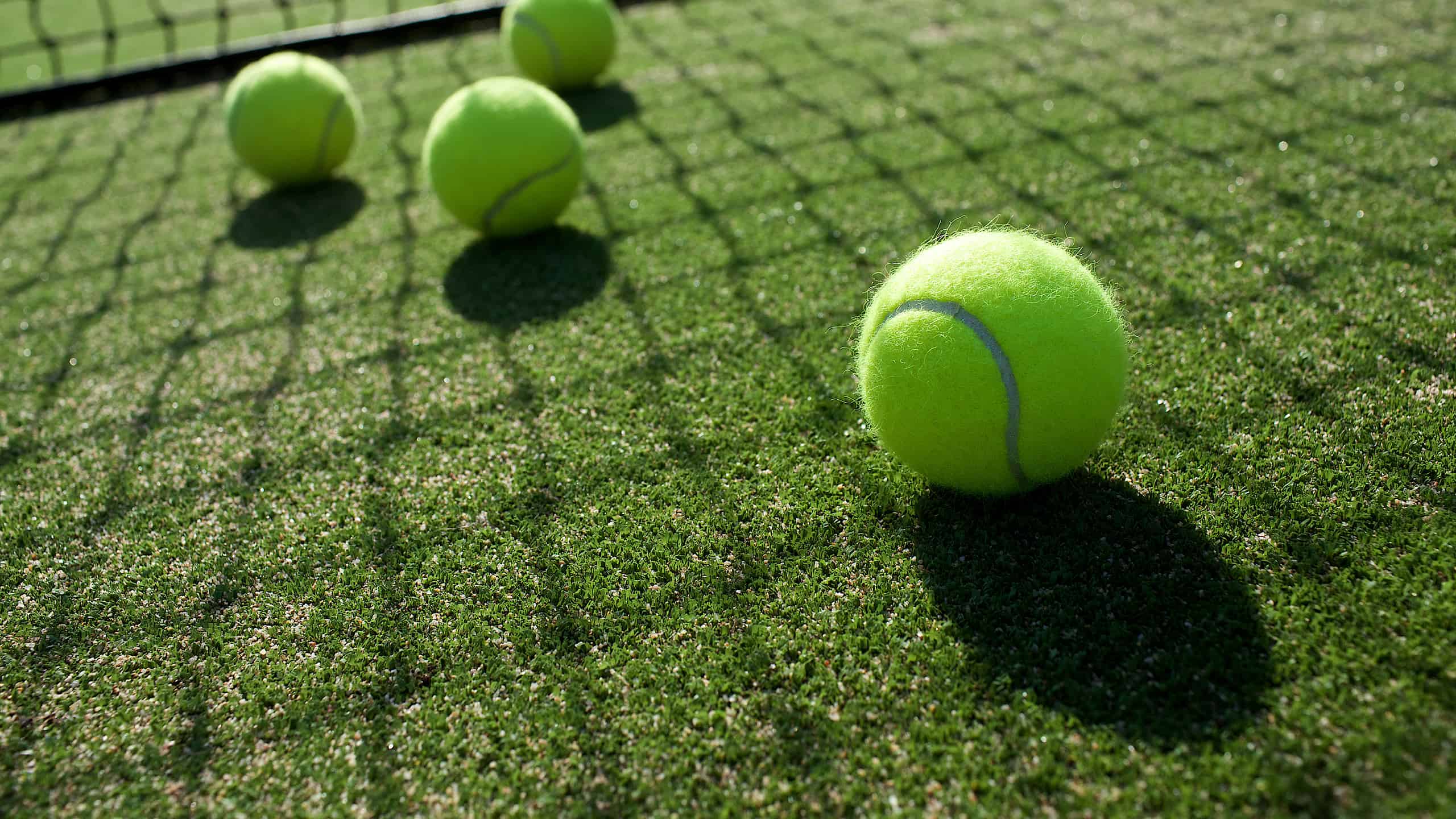quattro palline da tennis luminose sono visibili su un campo in erba verde.  La rete è visibile verso il retro della cornice.  Il sole splende attraverso il nido proiettando un'ombra netta sull'erba verde e sulle palline gialle.