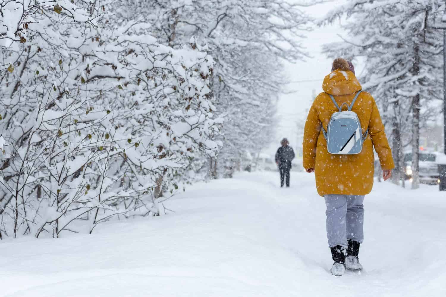 La gente cammina su un marciapiede innevato durante una forte nevicata.  Molta neve sul terreno e rami di alberi e cespugli.  Freddo clima invernale nevoso.  Donna in caldi abiti invernali con uno zaino.