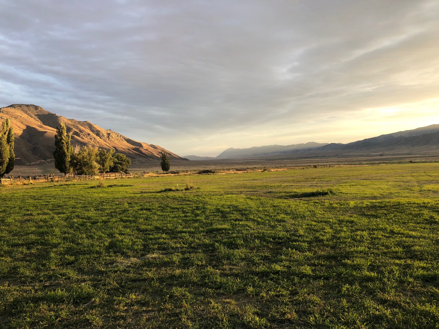 Pascolo del Nevada settentrionale vicino a Winnemucca al tramonto