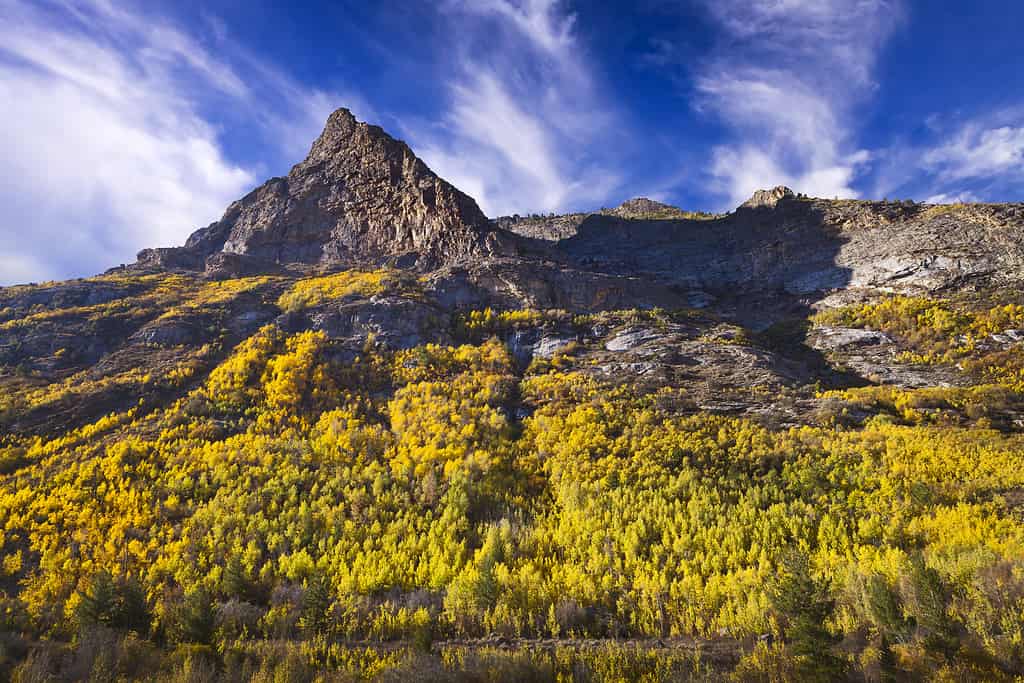Il Lamoille Canyon è la valle più grande delle Ruby Mountains, situata nella parte centrale della contea di Elko, nella sezione nord-orientale dello stato del Nevada.  Gli alberi sono nei colori autunnali.