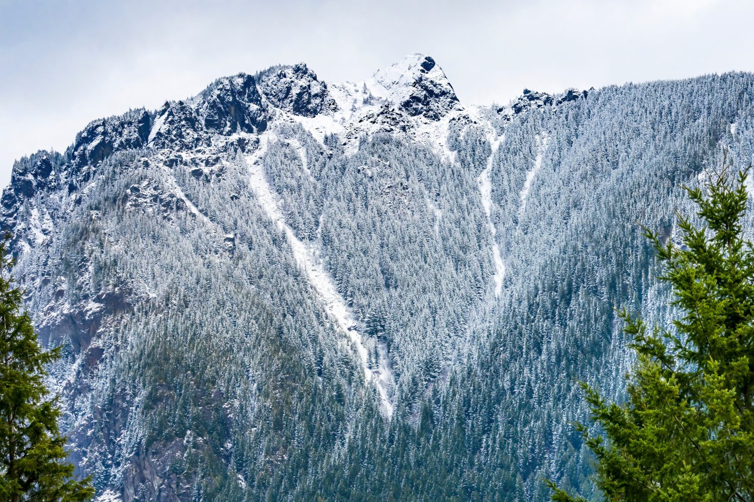 Coperta di neve il Monte Si Peak Cascade Range Forest North Bend Washington