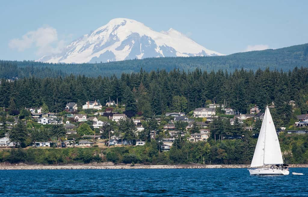 Una foto di Mount Baker con una barca a vela e case nella zona della città di Bellingham.