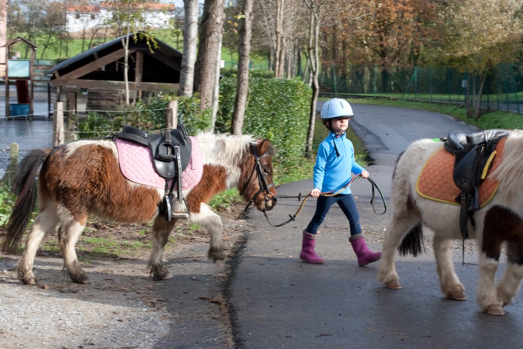 Bambina che conduce un pony