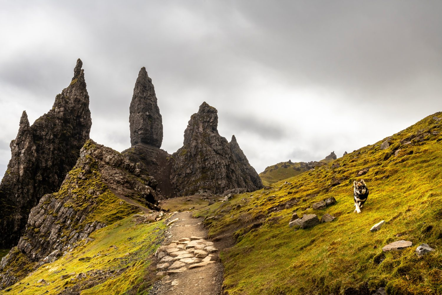 Vista panoramica di Old Man of Storr, Scozia, Isola di Skye