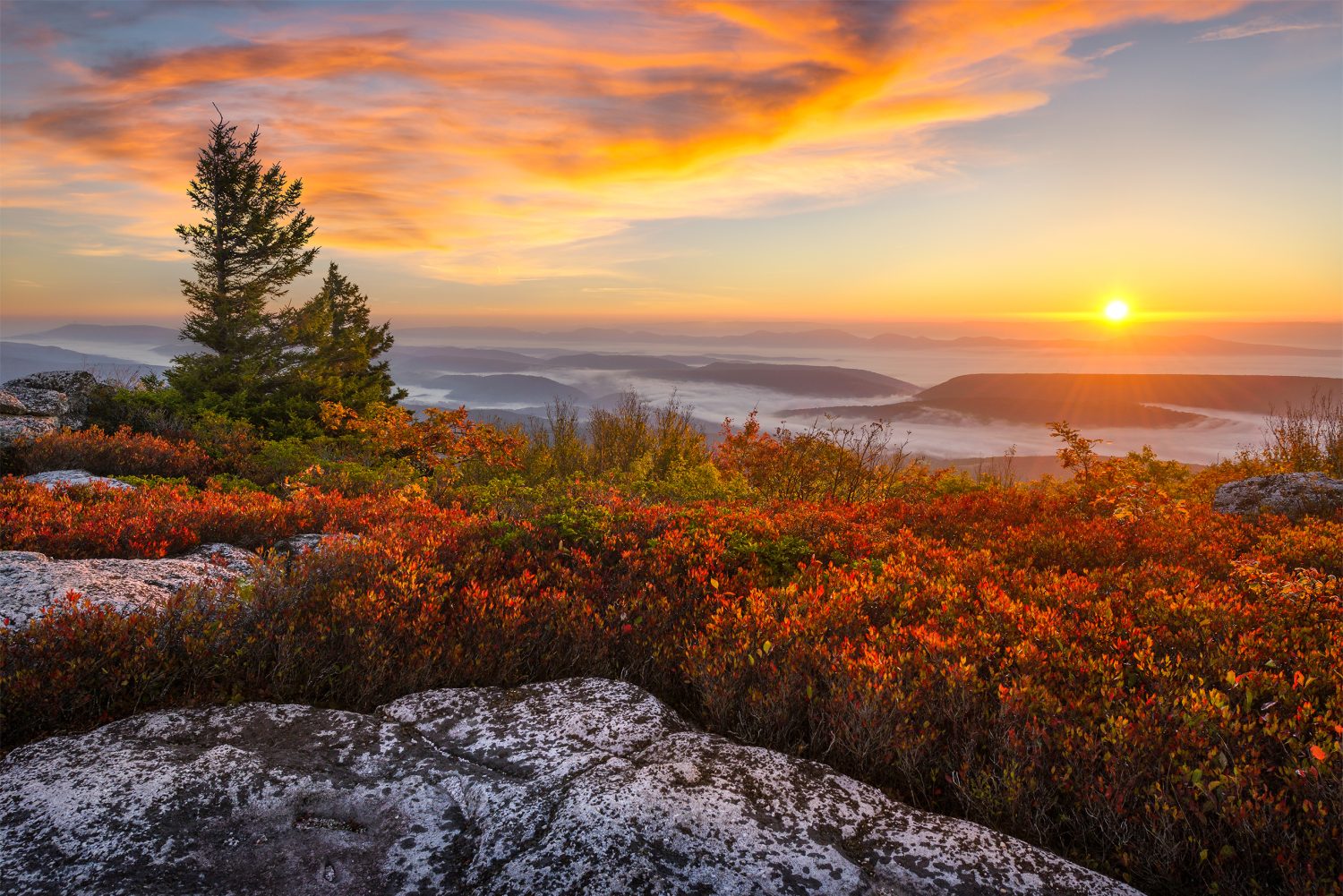 Alba sul fronte di Allegheny dalla cima di Bear Rocks nel Dolly Sods Wilderness del West Virginia