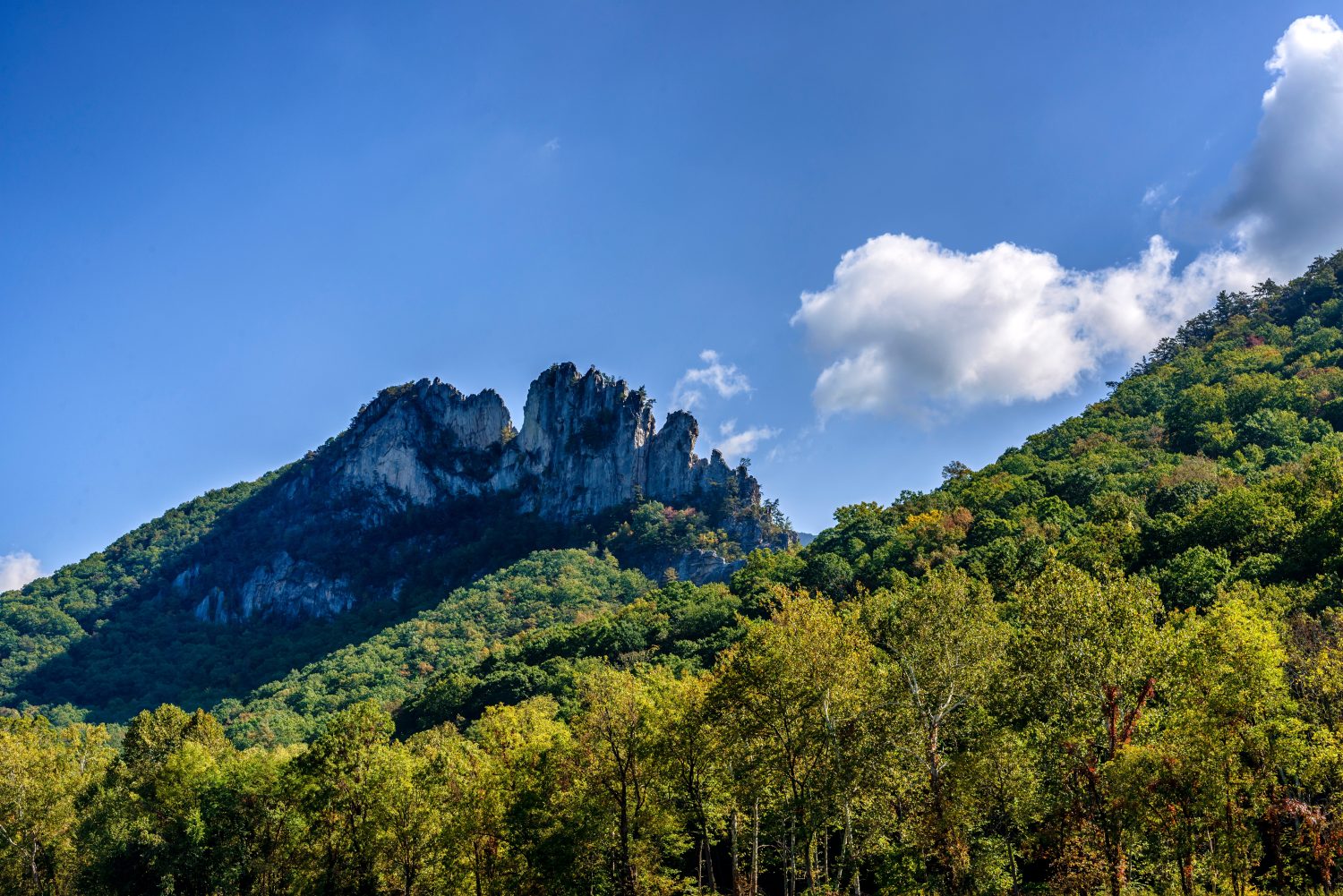 Seneca Rocks, Spruce Knob-Seneca Rocks National Recreation Area, West Virginia, Stati Uniti
